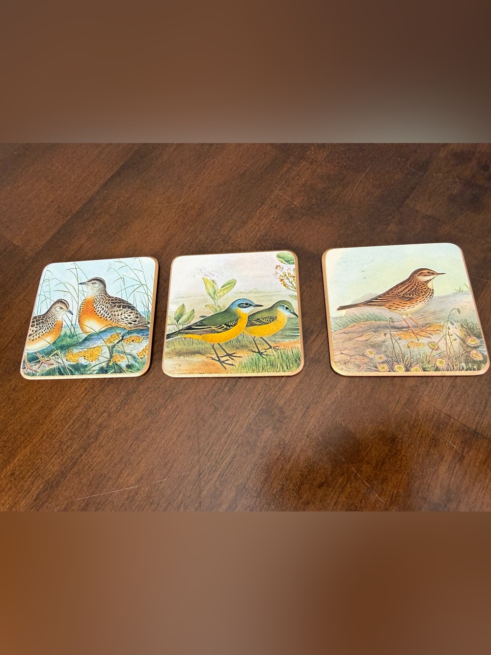 Vintage Bird Cork Back Coaster Set of 3 Cottagecore Nature Decor